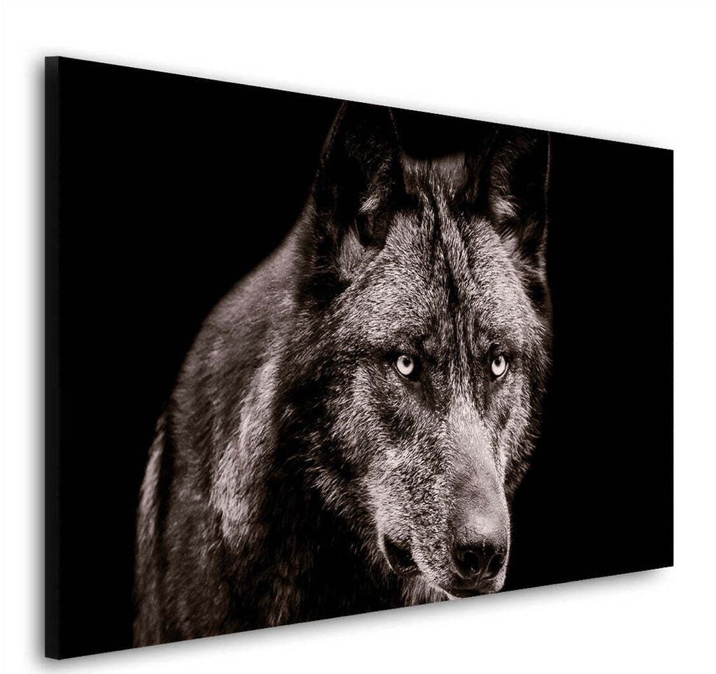 Wandbild Leinwandbild Wolf schwarz weiß: 180x120x4cm
