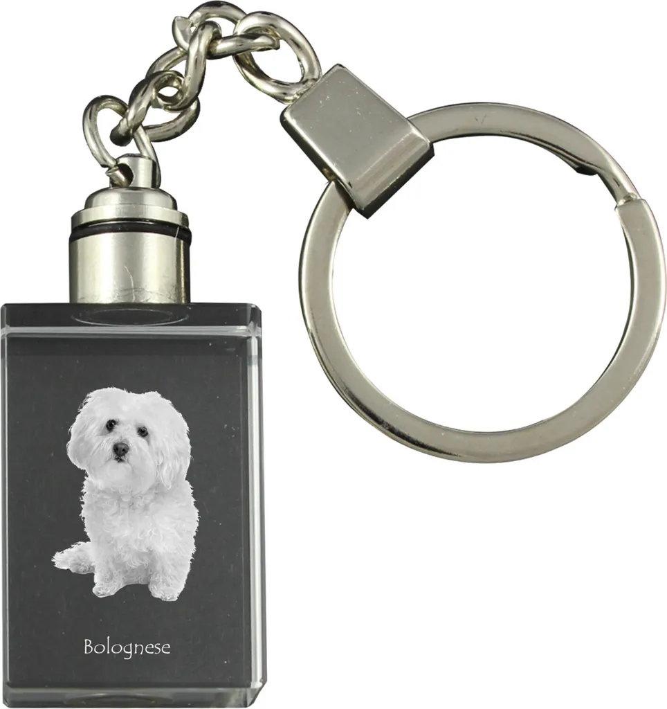 Cagnolino bolognese - Portachiavi in cristallo con foto del cane, portachiavi luminoso, regalo unico del marchio Art-Dog