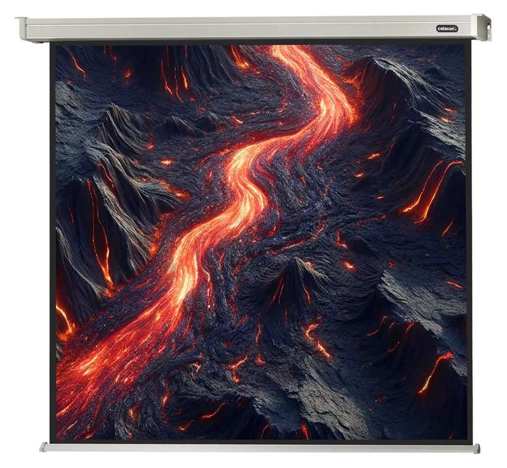 celexon Leinwand Motor Professional 200 x 200 cm