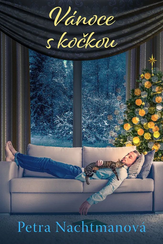 Comprendre son chat avec Vánoce s kočkou de Petra Nachtmanová livre