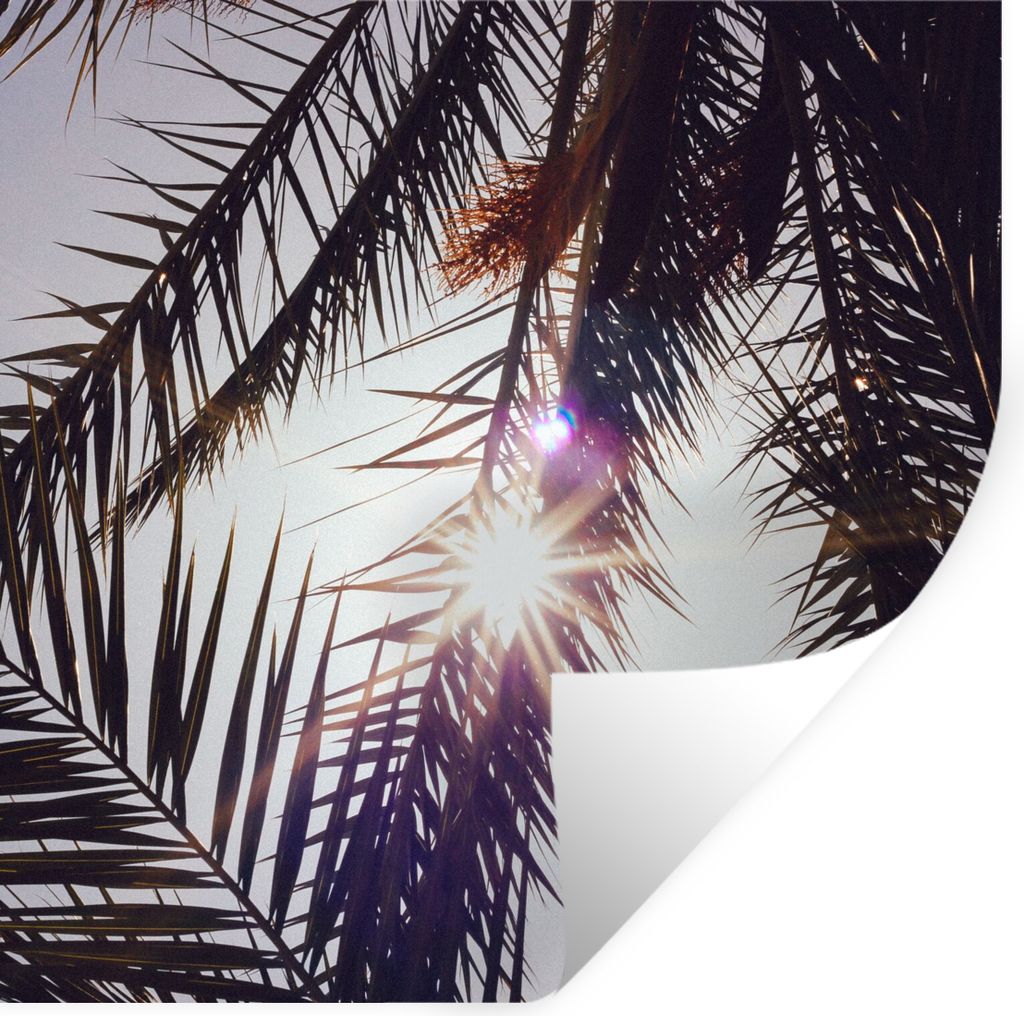 MuchoWow Wandtattoo Wandsticker Wandaufkleber Palmwedel - Sonne - Sommer 80x80 cm Selbstklebend und Repositionierbar - Wierderverwendbar - Selbst...