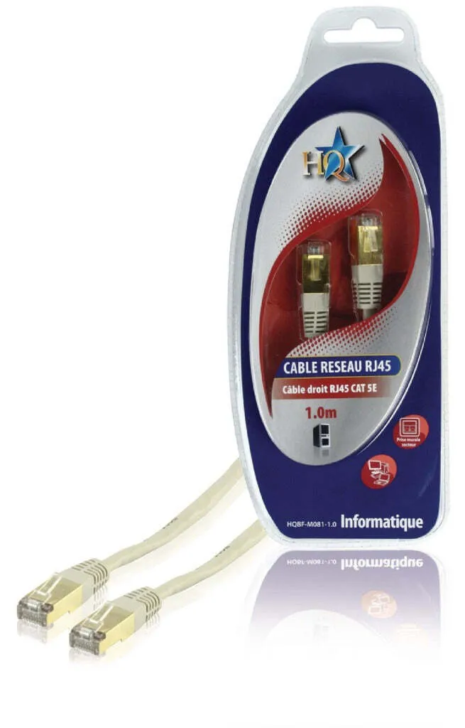 Câble LAN RJ45 1m HQ Cat5E Gris pour Relier Ordinateur et Box Internet