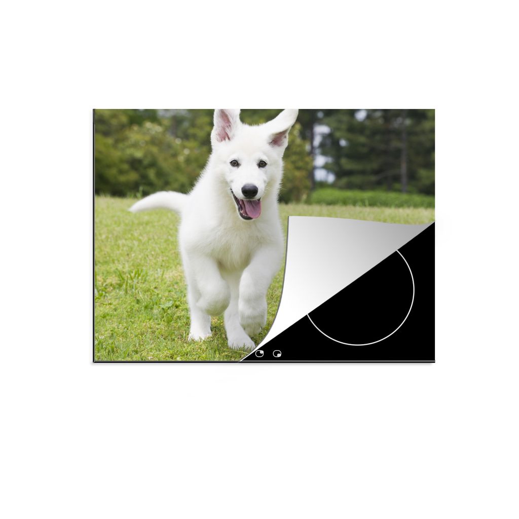 KitchenYeah Herdabdeckplatte Ein weißer Deutscher Schäferhund Welpe , 75x52cm, Küche Deko, Glaskeramikkochfeld Herdabdeckung, Abdeckplatte fù...