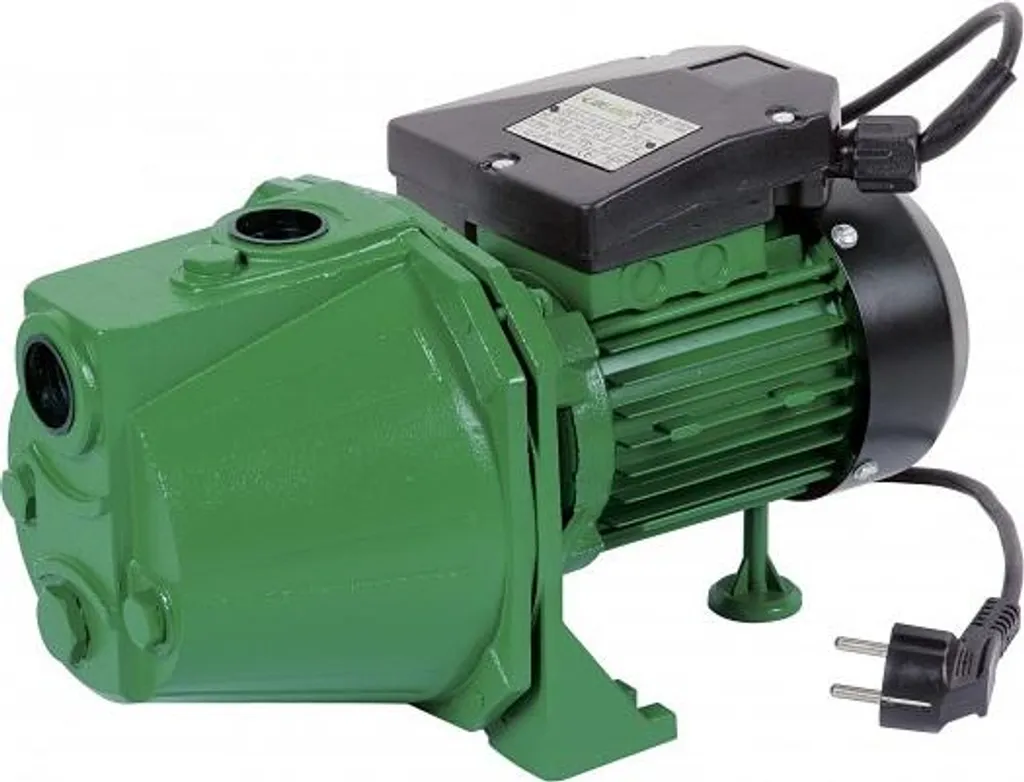 Pompe d'arrosage de surface 750W Ribiland idéale pour puits et cuve