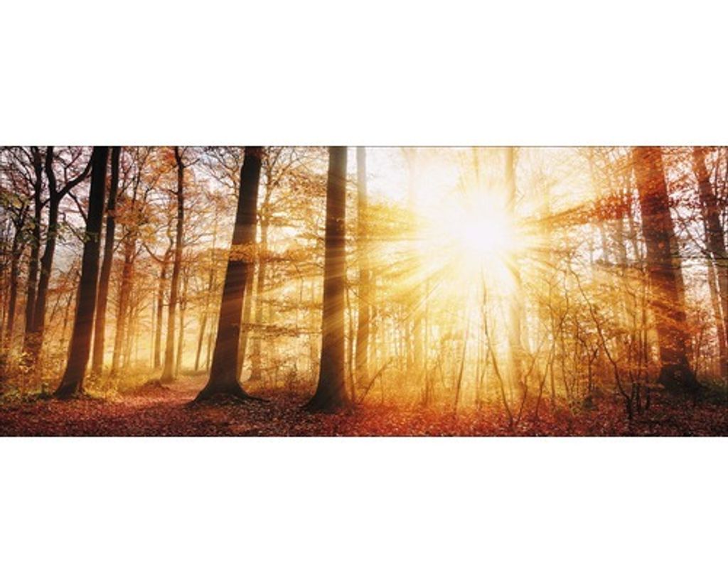 Glasbild Autumn Lake 80x30 cm