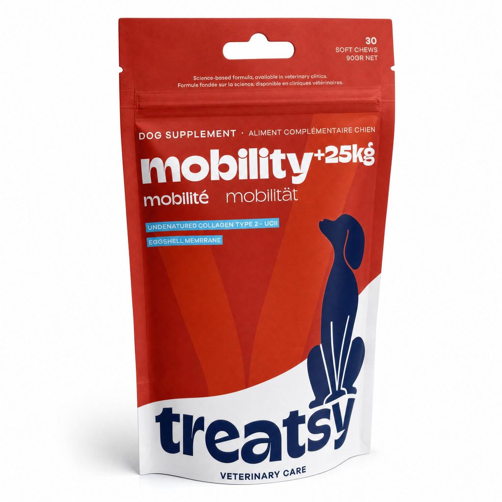 Treatsy Suplement diety – Mobilność i Stawy dla psów dużych Zdjęcie produktu 