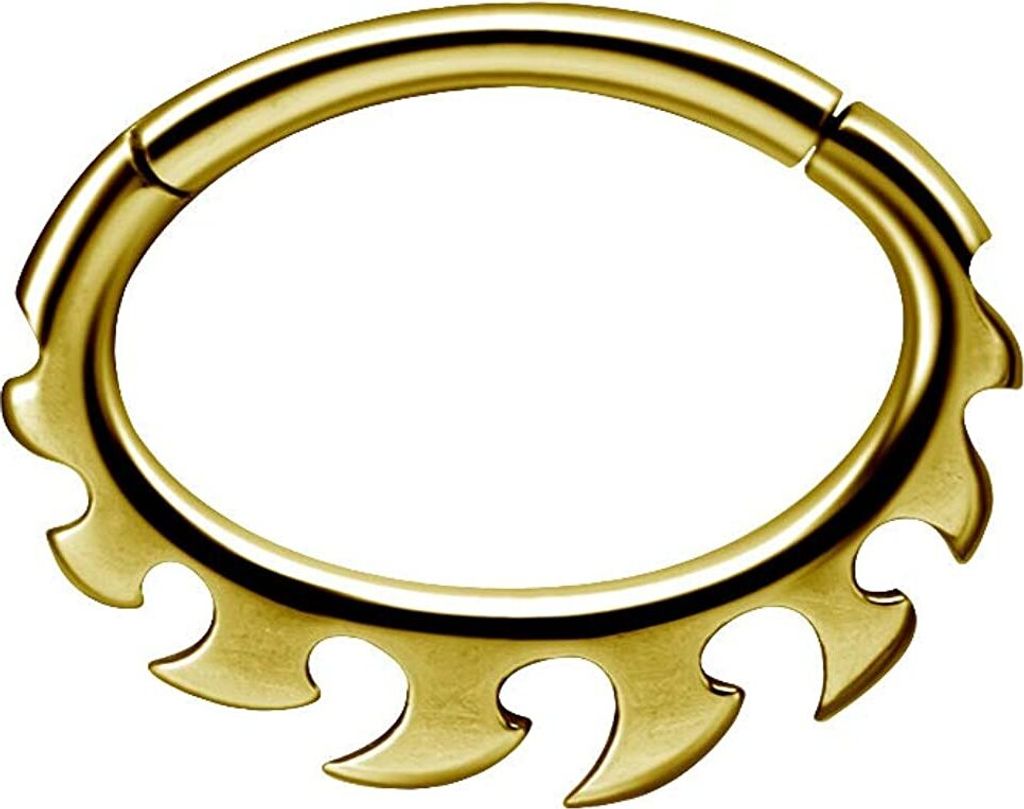 Karisma Edelstahl 316L Hinged Septum/Daith Clicker Ring Ohrring Nase 1,2x8mm BSDX04 - Gold