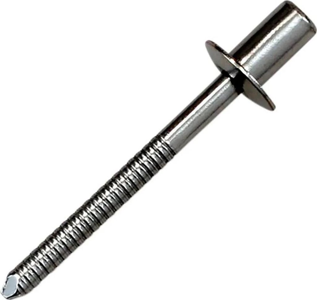 Akrapovic RIVET SS D4 8x8 CLEAR