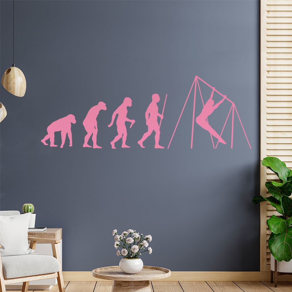 Reck Turnen Evolution Wandtattoo Wandaufkleber Wall Sticker - Dekoration, Küche, Wohnzimmer, Schlafzimmer, Badezimmer