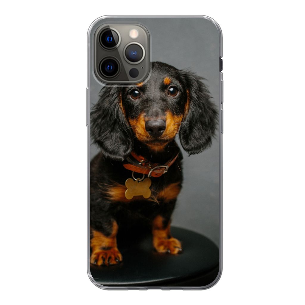 MuchoWow Handyhülle Schutzhülle Hülle für iPhone 13 Pro Studiofoto eines Dackelwelpen Silikon Softcase Handy Hülle - Handy-Tasche