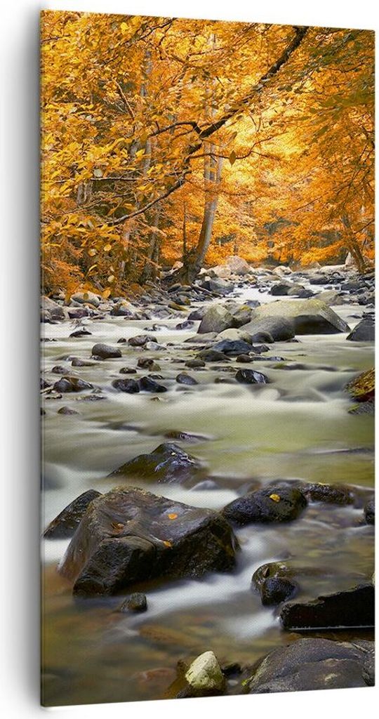 Bild auf Leinwand - Leinwandbild - Stream Herbst Forrest Produktbild 