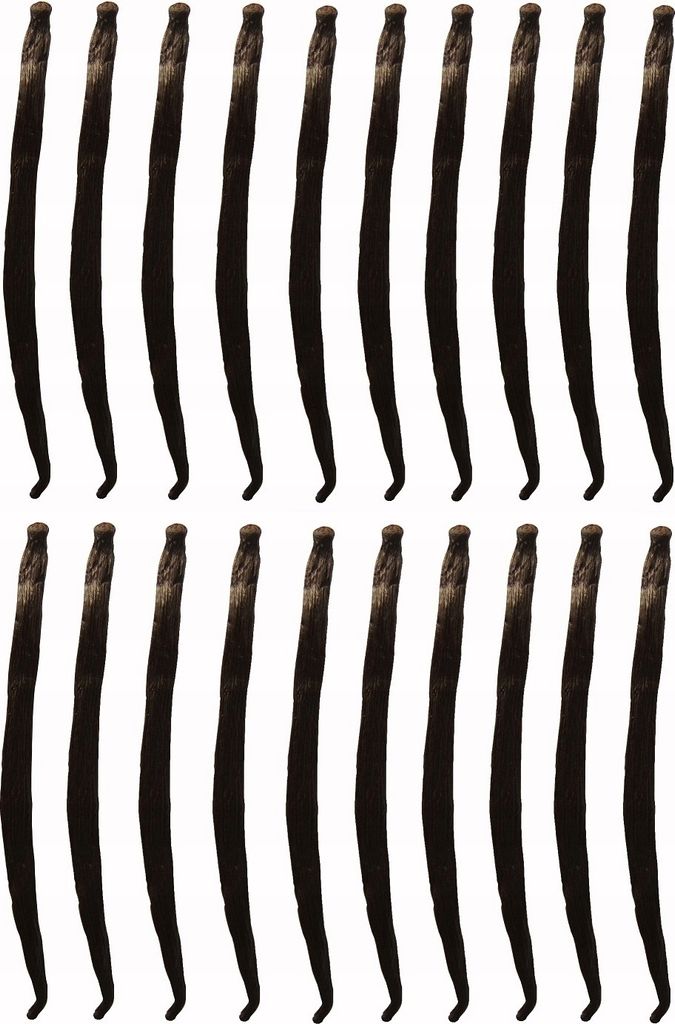 A grid of vanilla beans on a white background.
