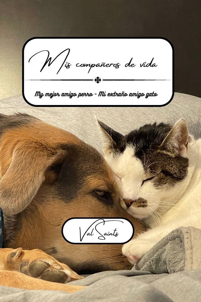 Saints, V: Mis compañeros de vida