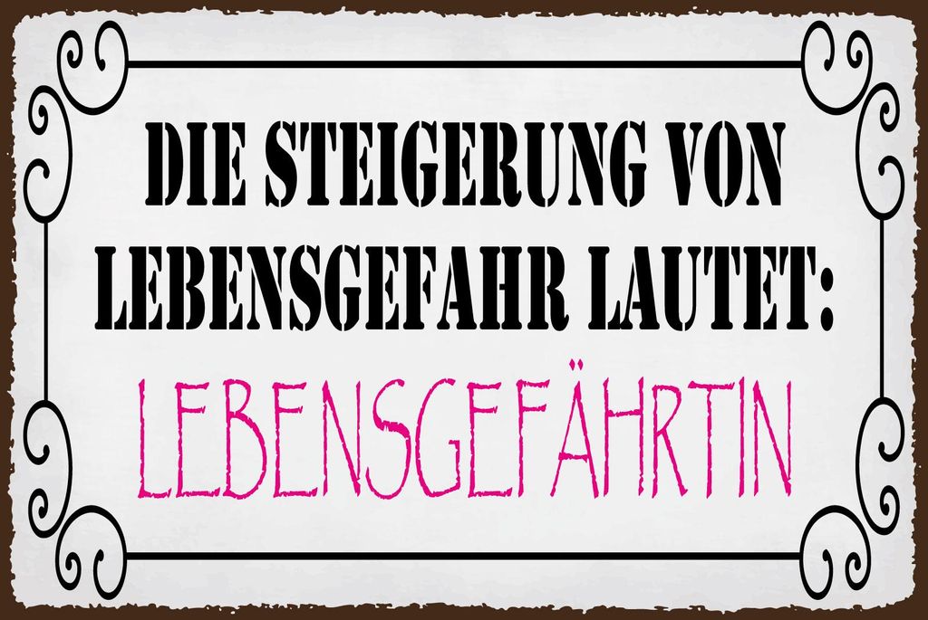vianmo Blechschild 20x30 cm Steigerung von Lebensgefahr ist Lebensgefährte