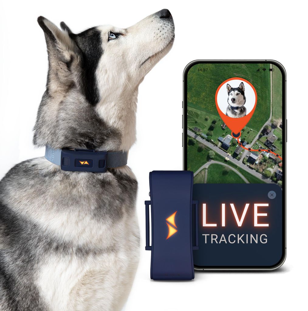 GPS Tracker für Hunde 4G -inkl. 3 Monate Premium ABO- Produktbild 