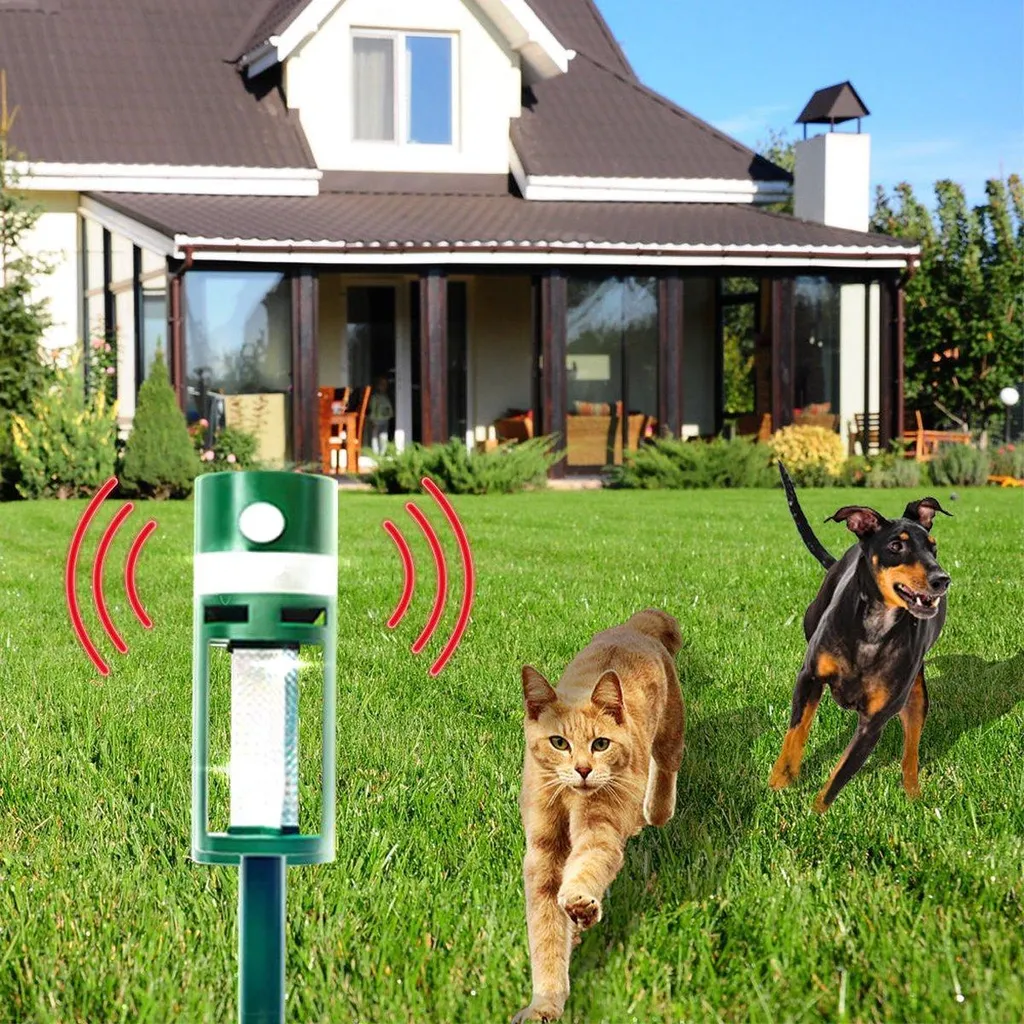 Répulsif solaire à ultrasons pour éloigner chats et chiens du jardin