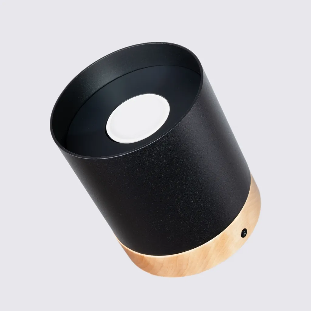 Plafonnier RIF Noir : Éclairage Compact pour Petits Espaces 1xGU10