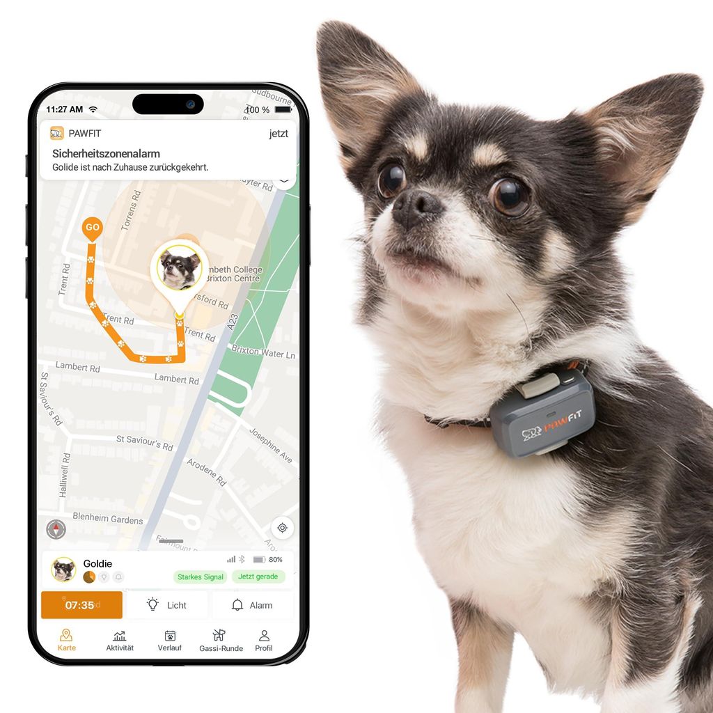 Pawfit Lite 4G GPS Hundetracker Live-Tracking Ultraleicht Charcoal Grey