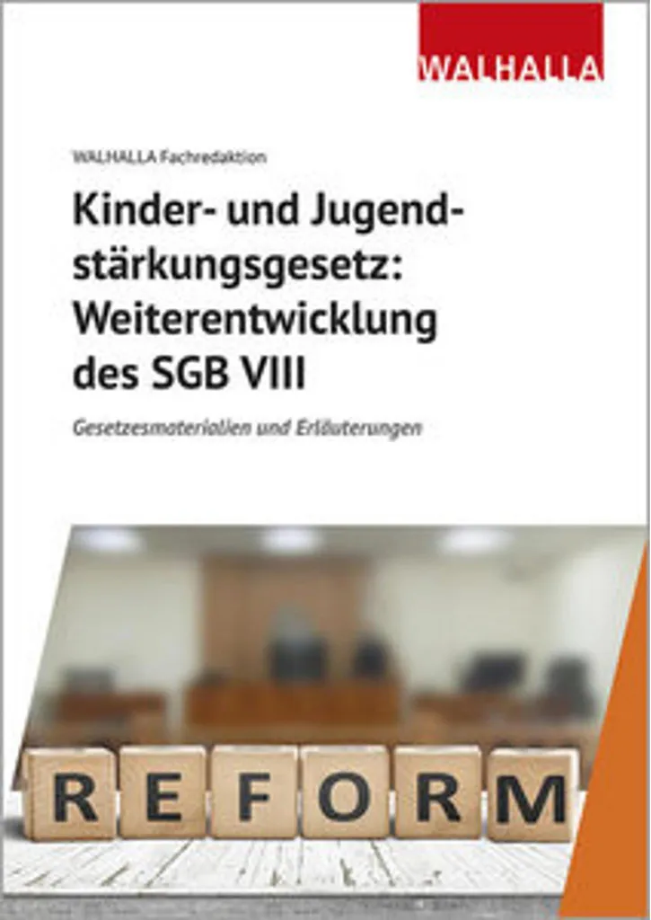 Réforme SGB VIII et Loi KJSG : Analyse des Nouvelles Normes de Protection DJ
