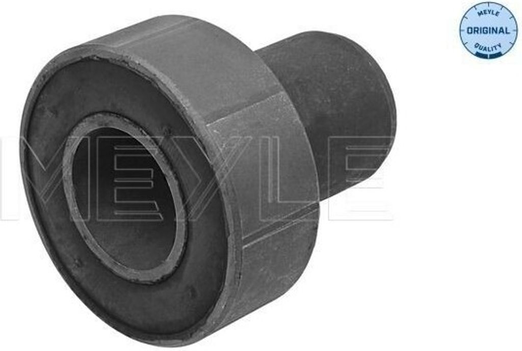 MEYLE 16-14 710 0004 - OE 7700301255 Achskörperlager für Kangoo (KC), Kangoo (FC)