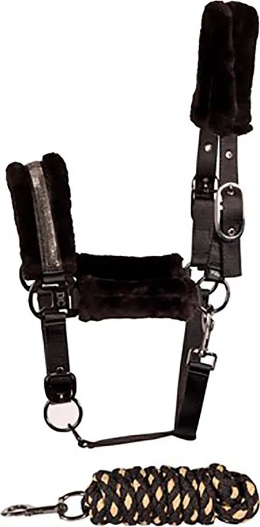 Licol Harry's Horse Denici Cavalli Stardust avec longe assortie Cob
