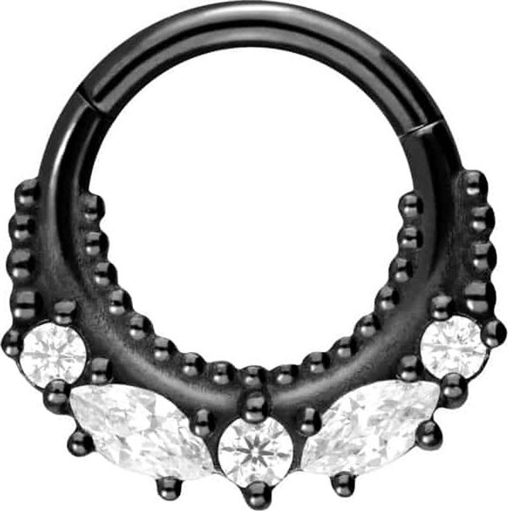 Ohrpiercing, Nasenpiercing, Septum Piercing Chirurgenstahl Segmentring Clicker 5 KRISTALLE + KUGELN