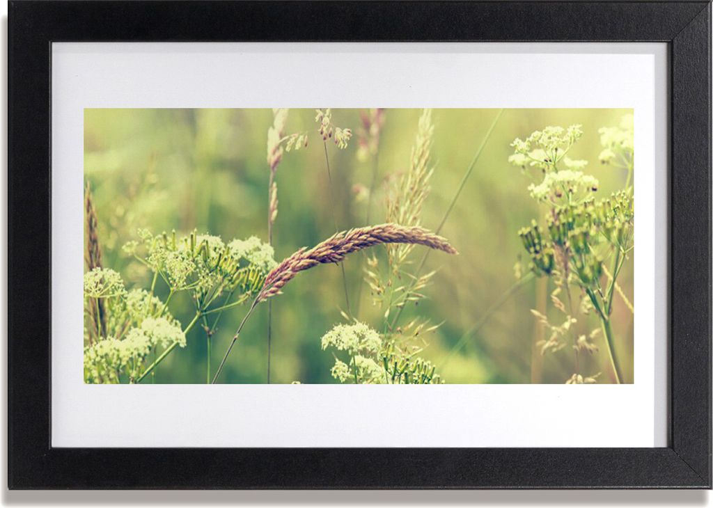 Bild 30x20 MDF-Rahmen Wandkunst Wilde Pflanzen Natur