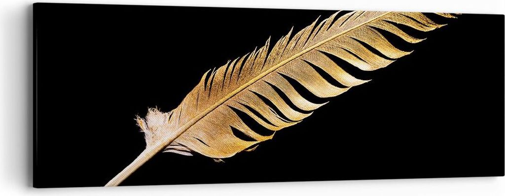 Bild auf Leinwand - Leinwandbild - Einteilig - Golden Feder Schwarz - 90x30cm - Wand Bild - Wanddeko - Wandbilder - Leinwanddruck - Bilder - Wandde...