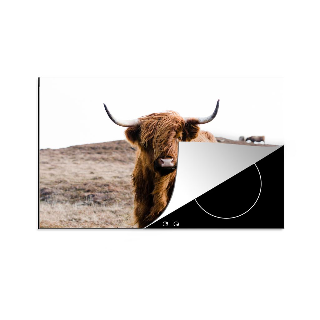KitchenYeah Herdabdeckplatte Schottische Highlander - Landschaft - Kuh - Braun - Tiere - Natur , 80x52cm, Küche Deko, Glaskeramikkochfeld Herdab...