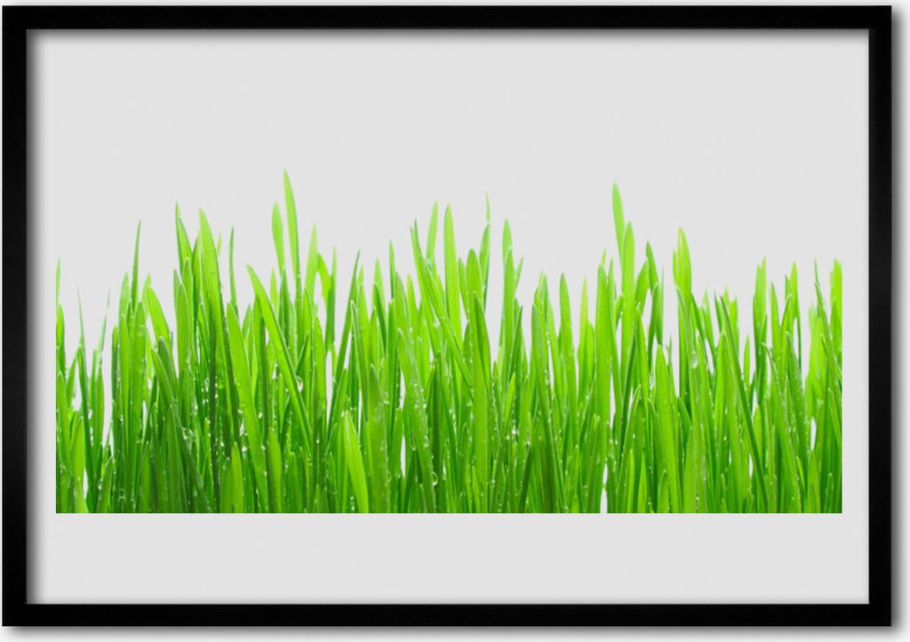 Bild 70x50 MDF-Rahmen Wandkunst Gras Natur Pflanze