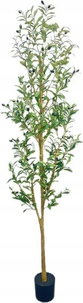 Plante Artificielle 180cm Idéale pour Salon et Bureaux Spacieux XXL