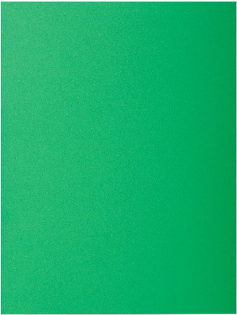 Exacompta Packung mit 100 Aktendeckeln ROCK''S 80, 22x31cm - Tannengrün 800004E