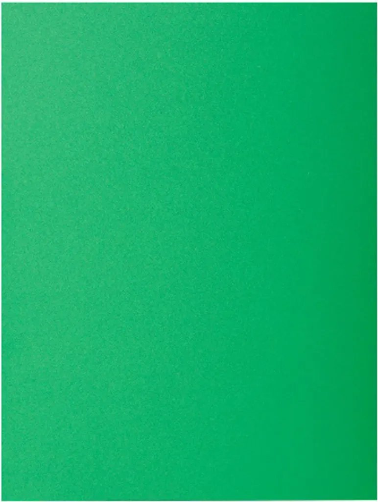 Sous-Chemises pour Dossier A4 Vert Sapin Exacompta Rock's 80 - 100u