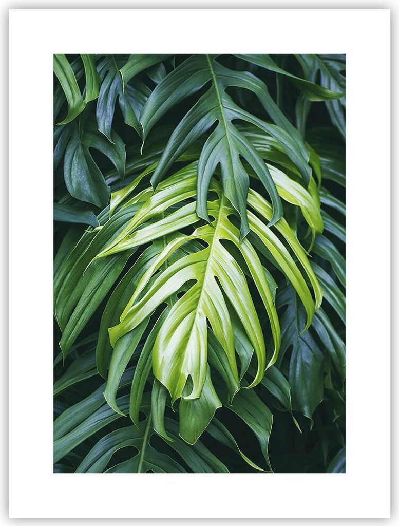 Poster - Poster ohne Rahmen - Blume Natur - 30x40 cm - Wand Produktbild 