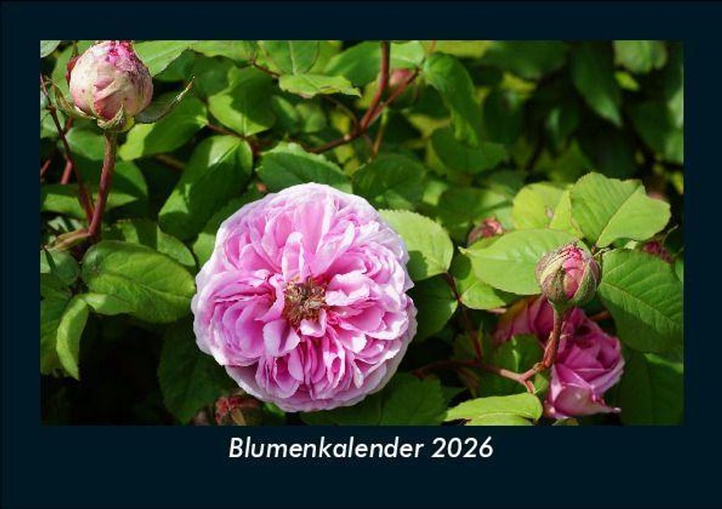 Blumenkalender 2026 Fotokalender - Querformat DIN A5, Monatskalender mit Bild-Motiven aus Fauna und Flora, Natur, Blumen und Pflanzen