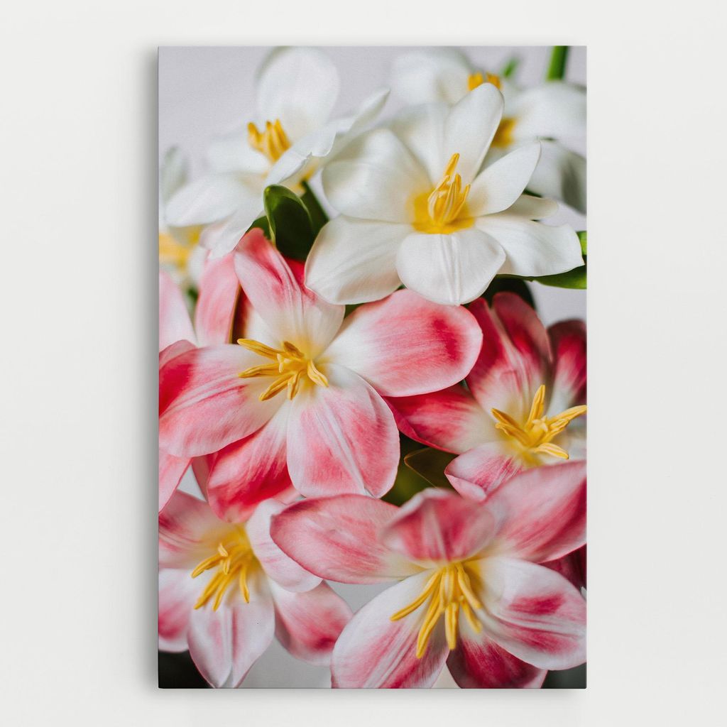 ARTHUB Leinwandbild 20x30 cm, Beautiful Exotic Flower | Wohnzimmerdekoration, Hängende Bilder, Wanddekoration, Heimdekoration, Blumen, Exotische...