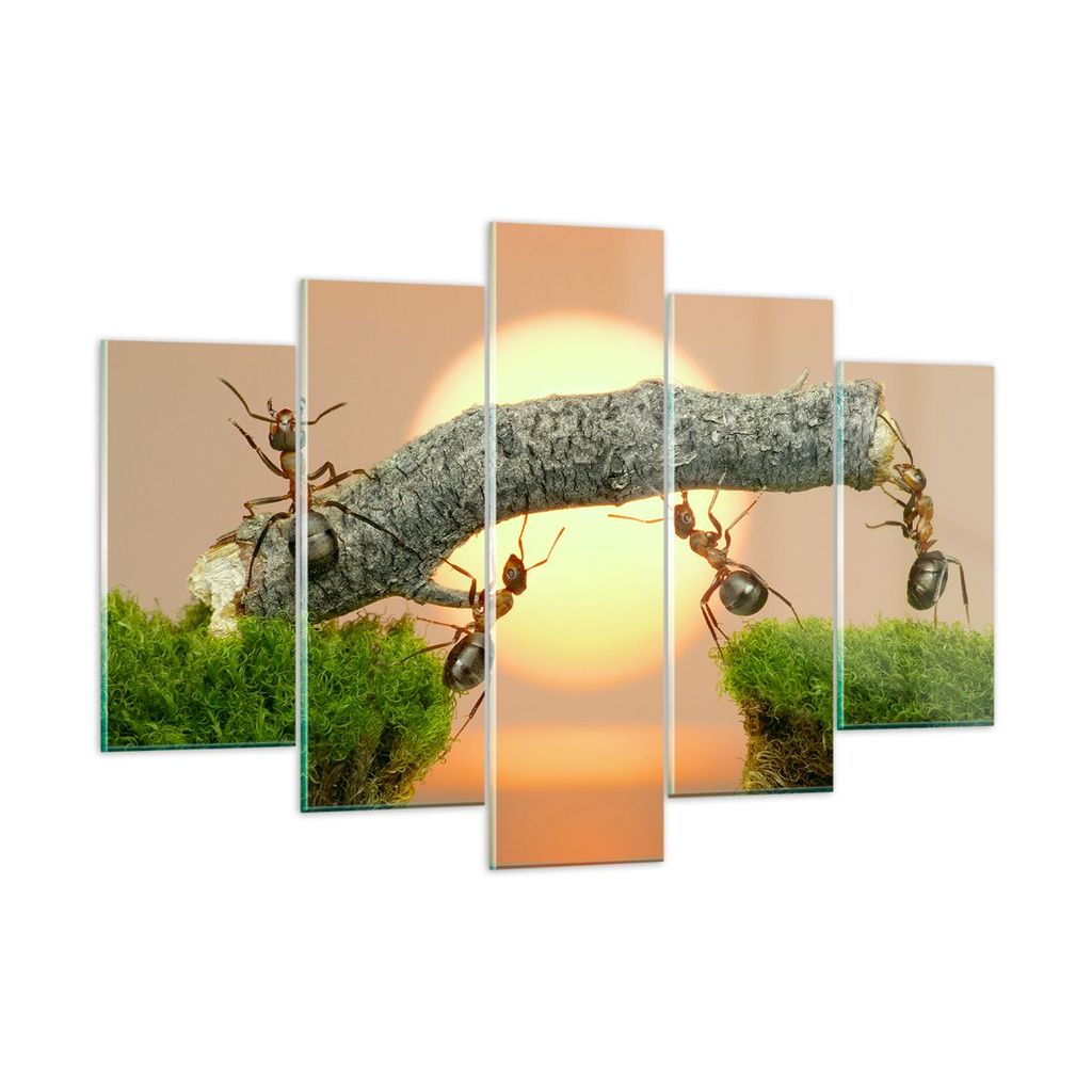 Bilder auf glas - Tiere Ameisen Brücke Natur - 150x100cm - Glasbilder - Wandbilder - Kunstdruck - zum Aufhängen bereit - Wanddekoration aus Glas ...
