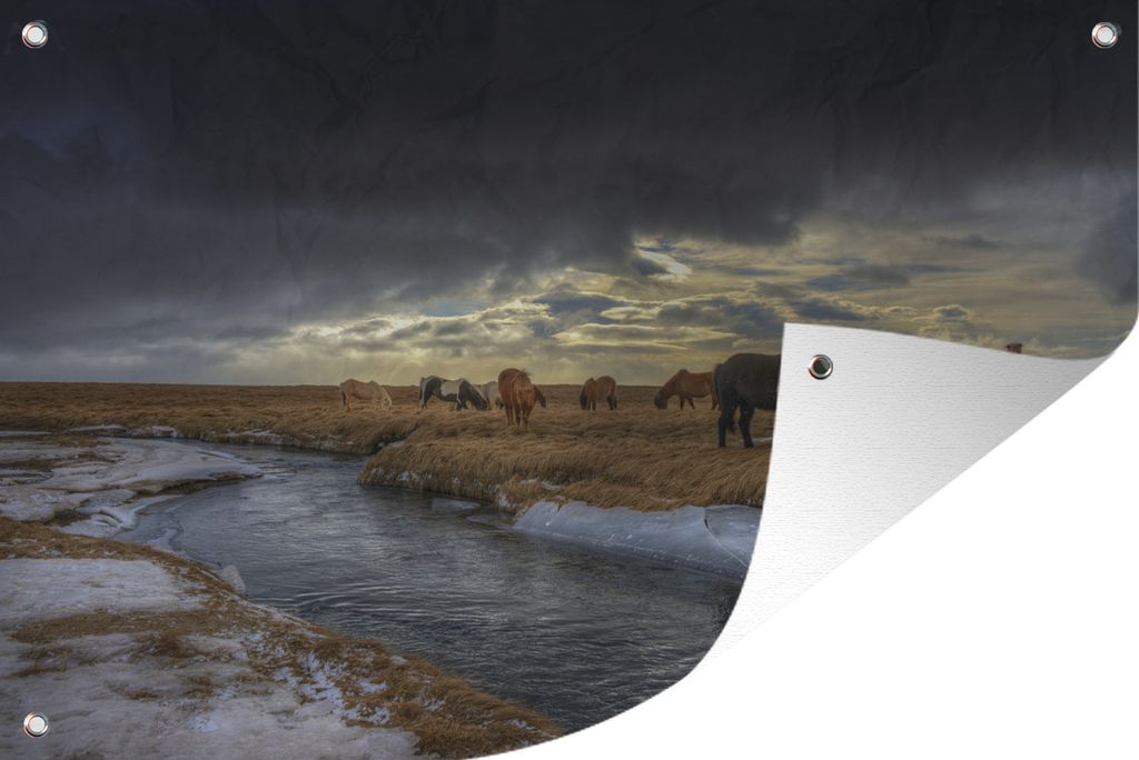 MuchoWow 90x60 cm Outdoor-Poster Gartendeko Sichtschutz Garten Poster für den Garten Pferde - Eis - Gras