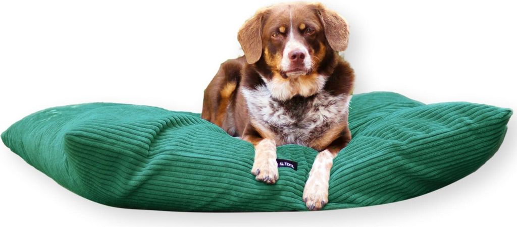 4L Textil MOLLY Hundekissen flauschig Cord Hundebett Grosse Hunde mit Bezug und Reißverschluss kuscheliges Hundekissen waschbar (100x80 cm, Grün ...