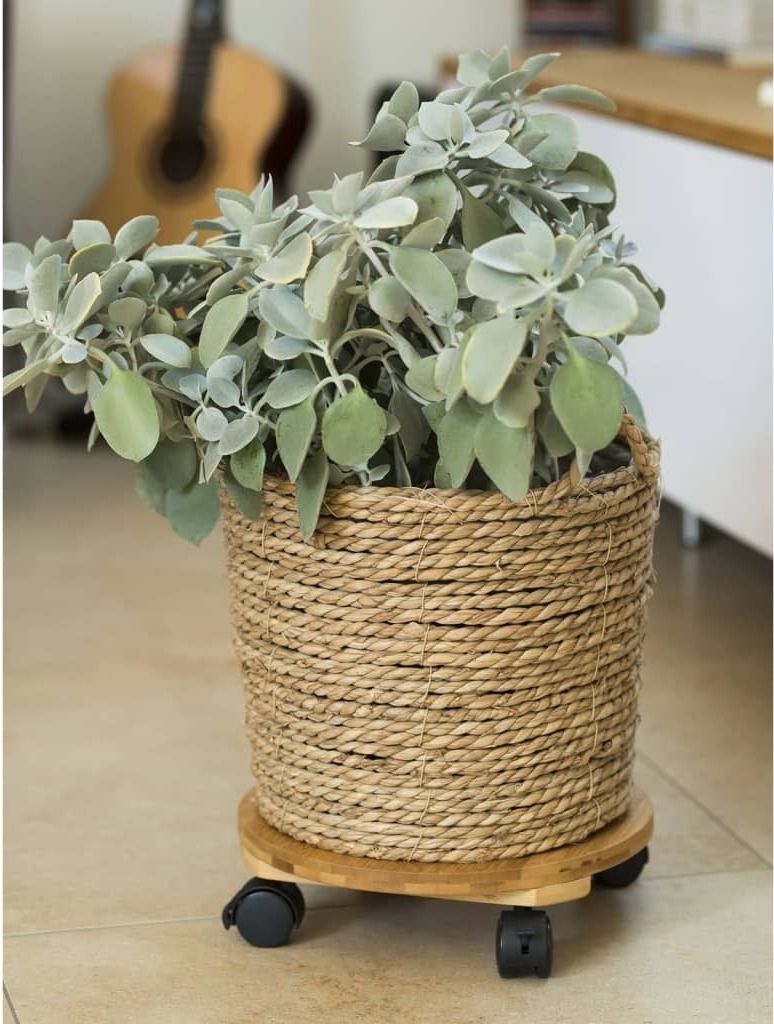 Nature Pflanzenroller Rund Ø30 cm Braun BPC Produktbild 2