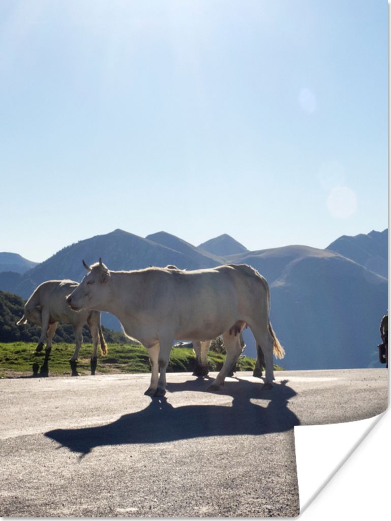 MuchoWow Poster Schottische Highlander - Licht - Berge - Natur 120x160 cm - Wandbilder
