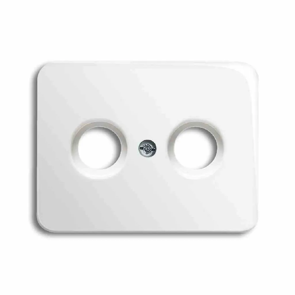 Remplacez votre Plaque de Prise Cassée par le Modèle Busch-Jaeger Alpha