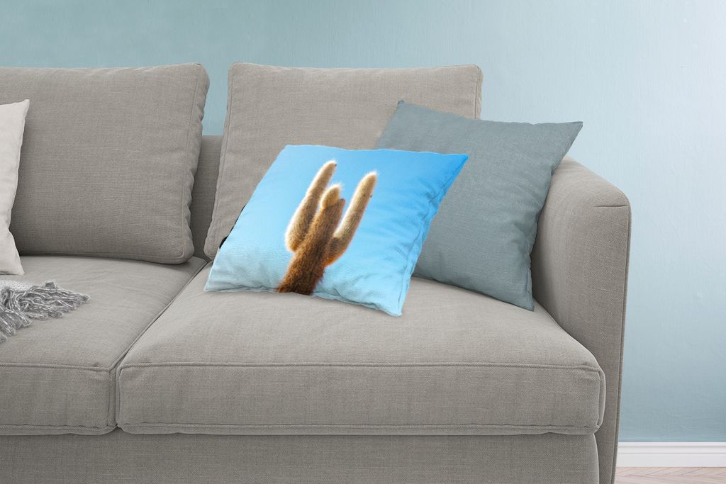 MuchoWow Zierkissen Sofakissen Wohnzimmer Dekokissen 60x40 cm Kaktus mit blauem Himmel - Kopfkissen - Polster mit Foto
