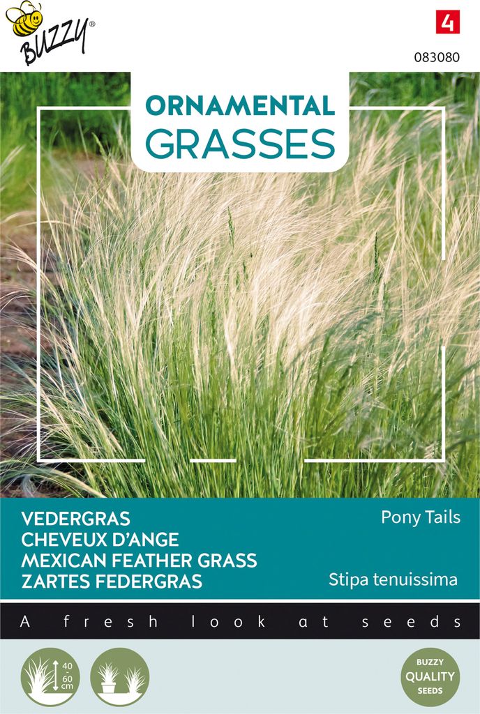 Samen- ORNAMENTAL ZARTES FEDERGRAS ́PONY TAILS ́
