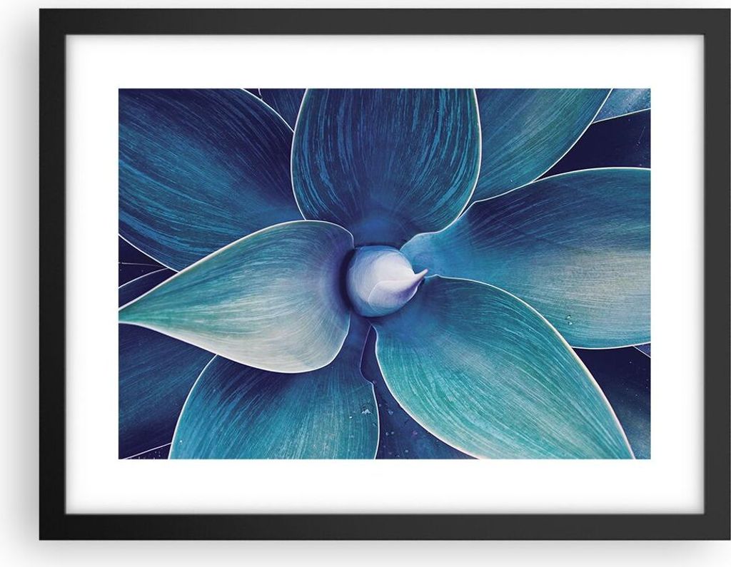 Gerahmtes Poster - Schwarzer Rahmen - Agave Blau Blume - 40x30 cm - Wand Bild - Wanddeko - Wandbilder - Kunstposter - Wandposter - Bilderrahmen - B...