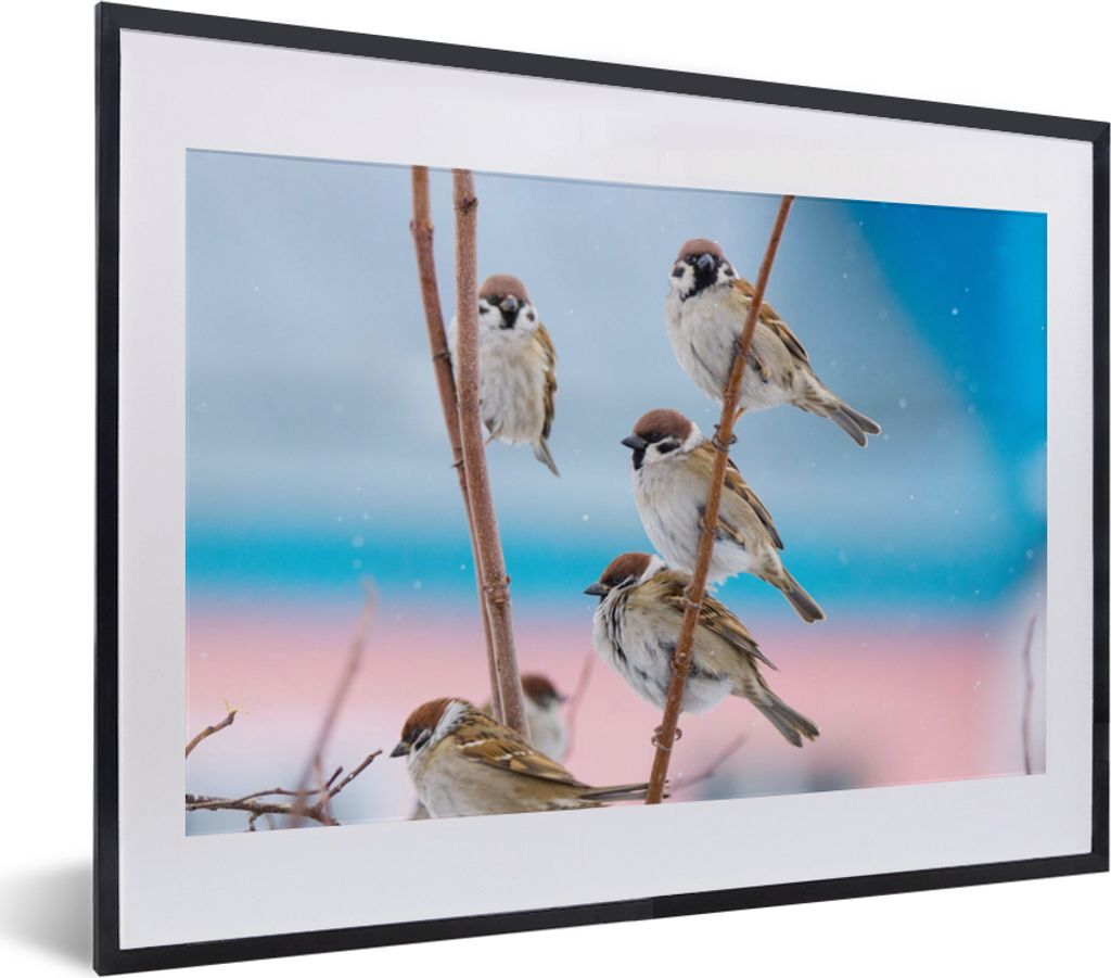 MuchoWow Gerahmtes Poster Vögel - Spatz - Tiere - Äste 40x30 cm - Poster mit Schwarzem Bilderrahmen Wandposter Rahmen Foto Bilder - Bilderrahme...
