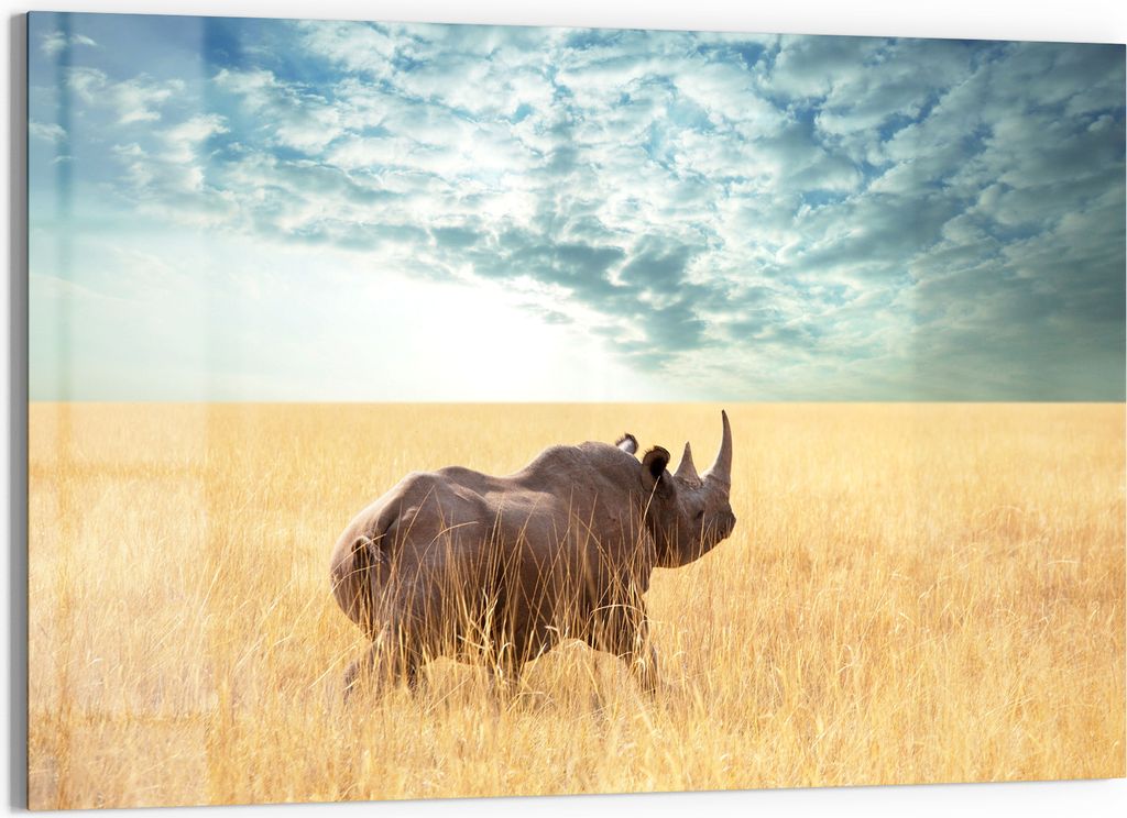 DEQORI Glasbild Echtglas 90x60 cm 'Goldene Wildnis' Wandbild Bild modern Deko