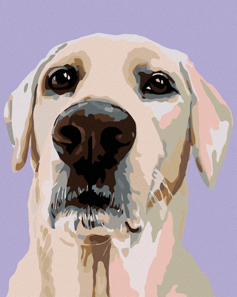 Zuty - Malen nach Zahlen - LABRADOR RETRIEVER, 40x50 cm, mit Keilrahmen (bereits gespannt)