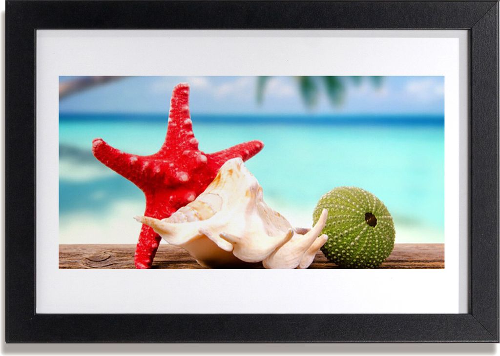 Bild 30x20 MDF-Rahmen Wandkunst Shell Seesterne Kunst Produktbild 