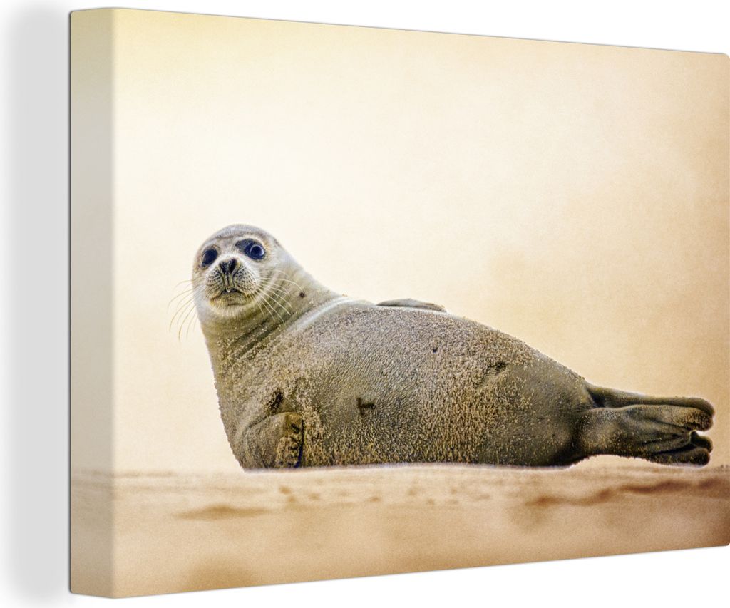 OneMillionCanvasses - Leinwandbilder - 140x90 cm, Seal - Strand - Long Island, Wandbilder Kunstdruck Wanddekoration